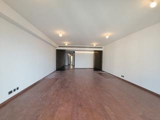 Mid Levels Central - 21 Borrett Road Phase 2 02