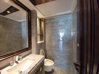 Mid Levels Central - 21 Borrett Road Phase 2 13