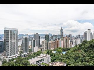 東半山 - 峰景花园 03