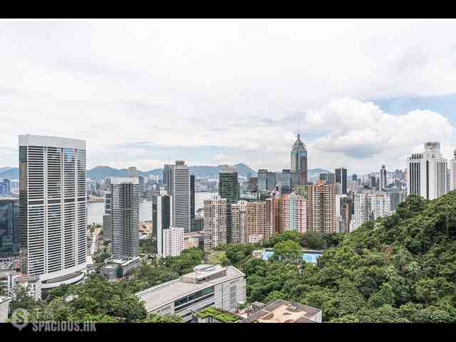 東半山 - 峰景花园 03