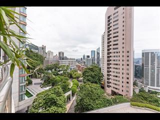 東半山 - 峰景花园 04