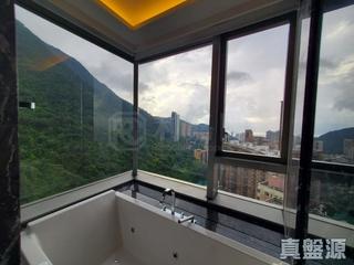 西半山 - 天匯 08