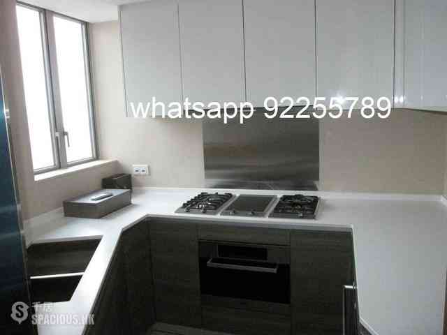 Sai Ying Pun - The Summa 08