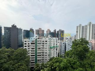 西半山 - 年豐園 02