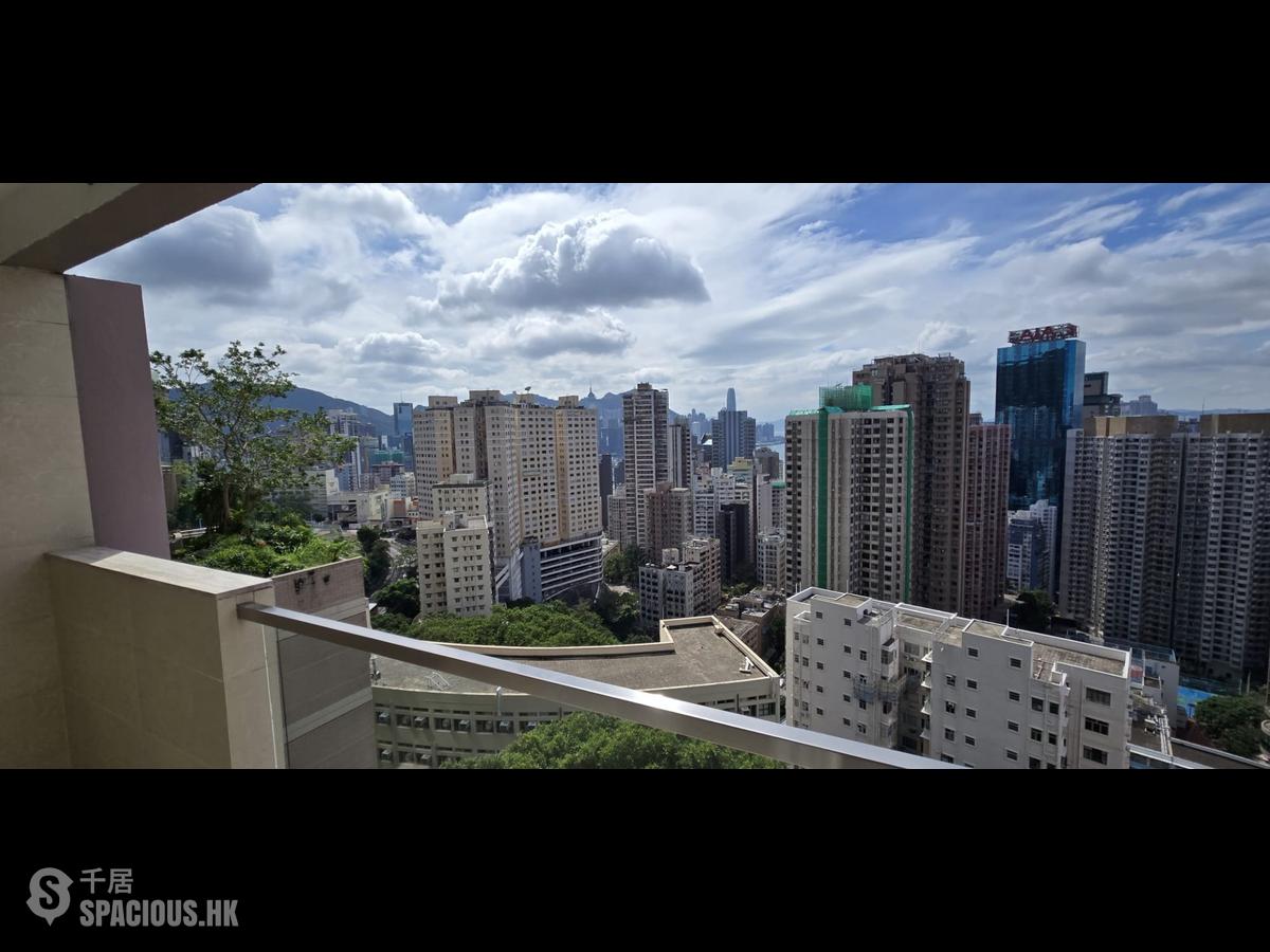 Braemar Hill - Homestead Mansions 01