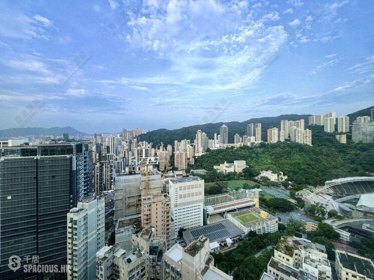 禮頓山 - 禮頓山 01