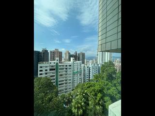 西半山 - 年豐園2座 16