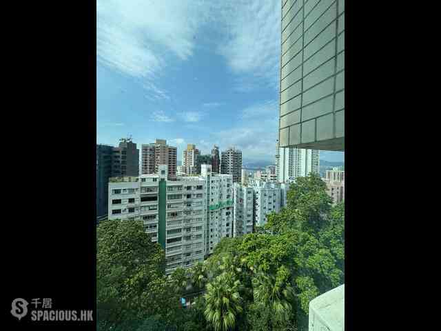西半山 - 年豐園2座 16
