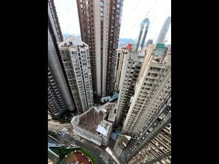 中半山 - 高云台 17