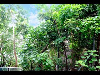 Pok Fu Lam - Villa Cecil 28