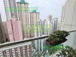 Kennedy Town - Lexington Hill 05