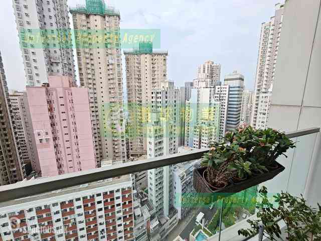 堅尼地城 - Lexington Hill 05