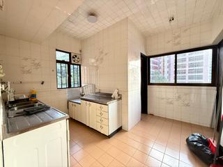 Mid Levels West - Elegant Garden 18