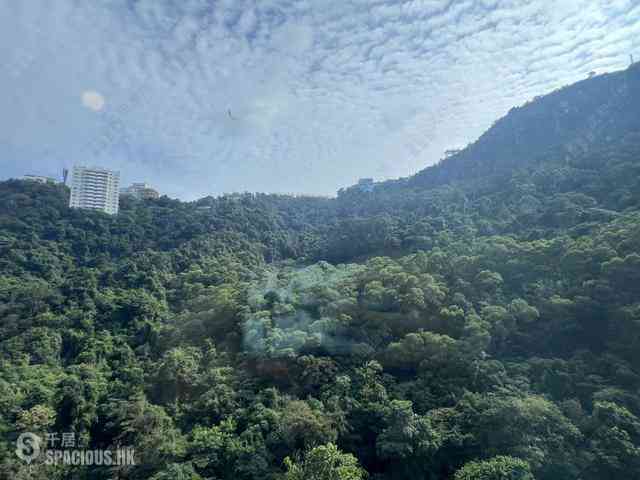 中半山 - 21 Borrett Road 8号及9号 06