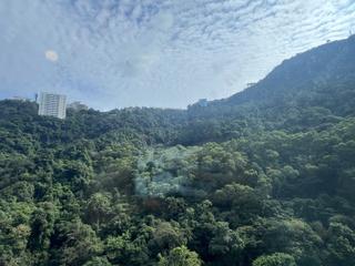 中半山 - 21 Borrett Road 8號及9號 07