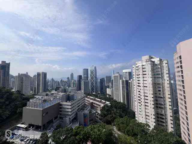 中半山 - 21 Borrett Road 8号及9号 10