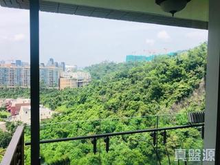 畢架山 - 畢架山一號1期10座 04