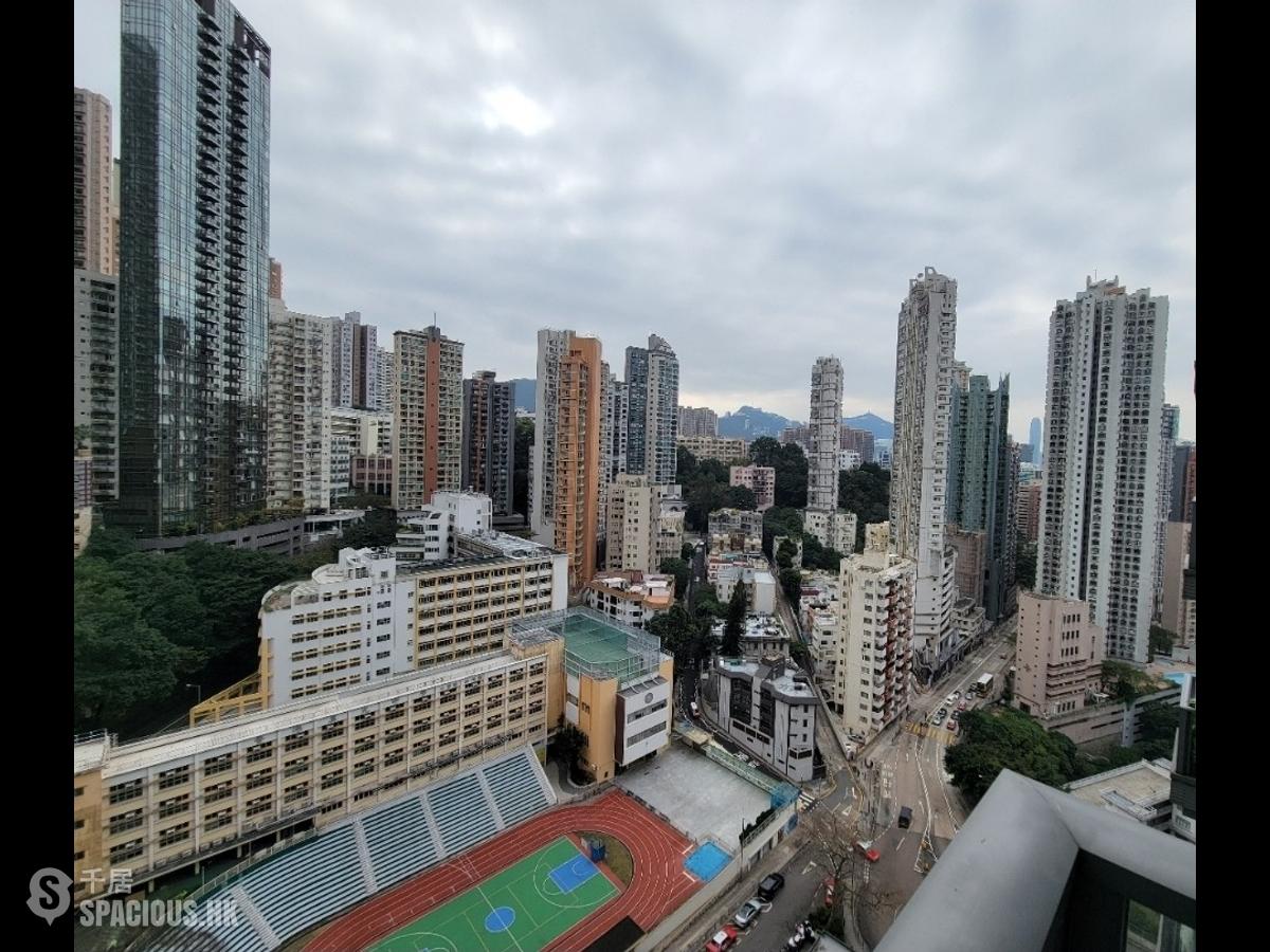 大坑 - 上林 01