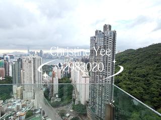 Tai Hang - The Legend 02