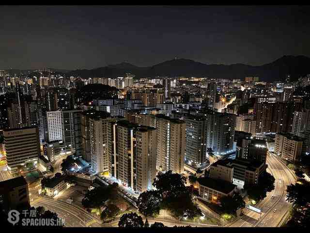 何文田 - 雅利德桦台 05