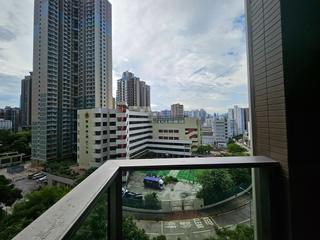何文田 - 皓畋 02