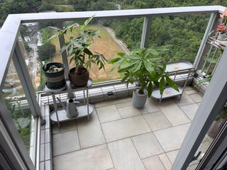 长沙湾 - 郝德杰山2座 04