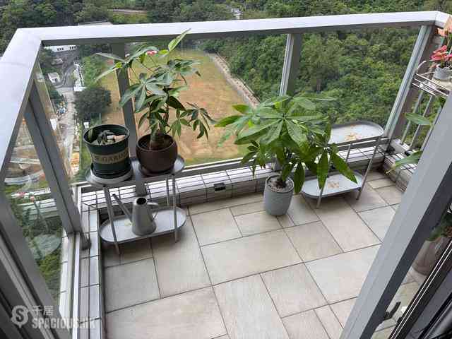 长沙湾 - 郝德杰山2座 04