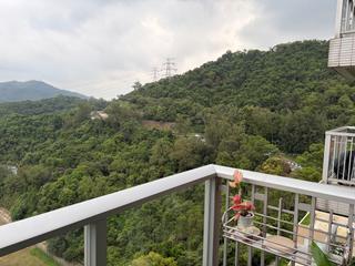 长沙湾 - 郝德杰山2座 05