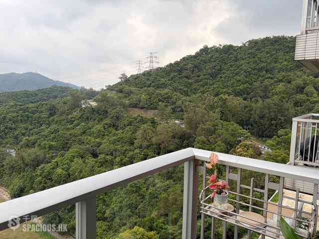 长沙湾 - 郝德杰山2座 05