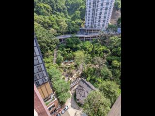Tai Hang - The Jolly House 10