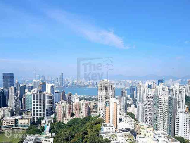 大坑 - 柏园 02