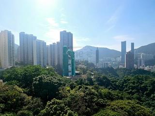 大坑 - 柏园 03