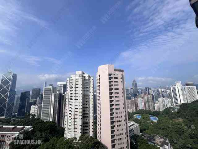 中半山 - 21 Borrett Road 01