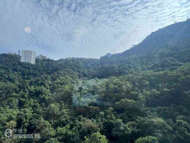 中半山 - 21 Borrett Road 19