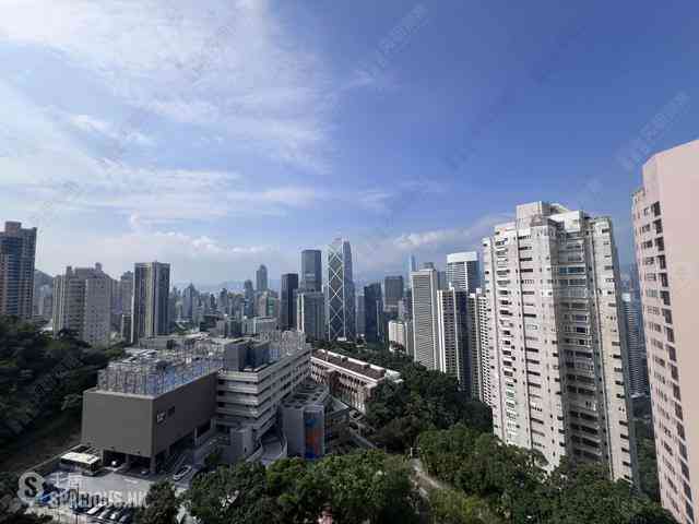 中半山 - 21 Borrett Road 02
