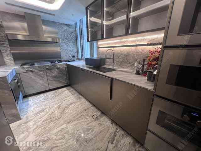 中半山 - 21 Borrett Road 12