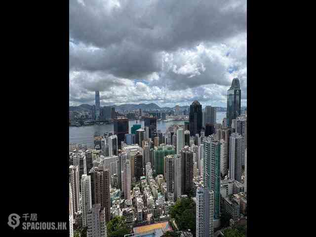 西半山 - 罗便臣道80号2座 09