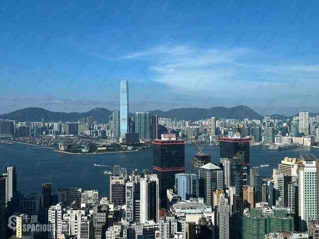 西半山 - 罗便臣道80号2座 31