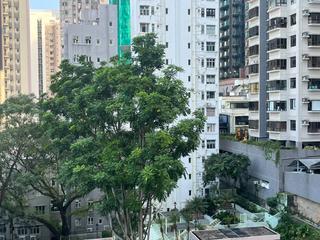 苏豪 - 金豪大厦 11