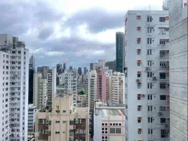 跑馬地 - 豪軒 04