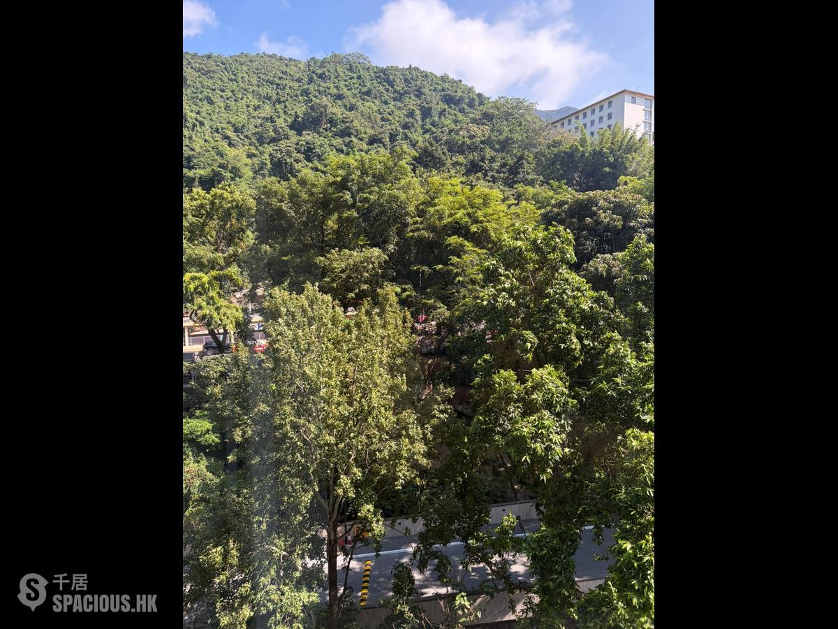 坚尼地城 - 学士台 01