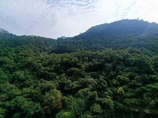中半山 - 21 Borrett Road 8號及9號 02