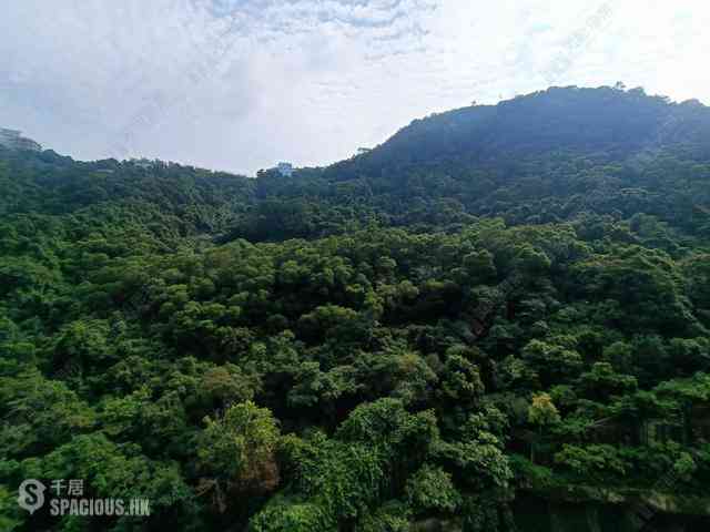 中半山 - 21 Borrett Road 8号及9号 02
