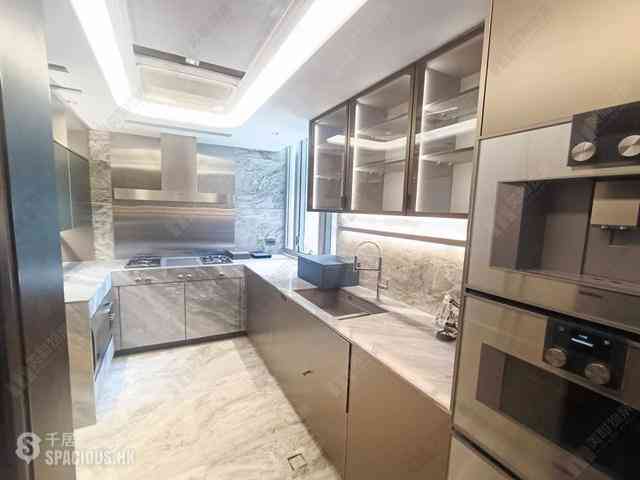中半山 - 21 Borrett Road 8号及9号 11
