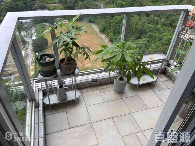 Cheung Sha Wan - Caldecott Hill 01