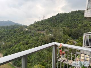 Cheung Sha Wan - Caldecott Hill 02