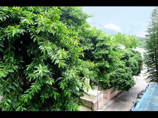 Pok Fu Lam - The Regalis 36