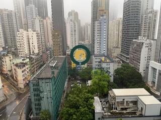 Sai Ying Pun - One・Artlane 03