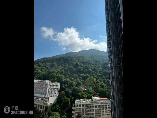 Shau Kei Wan - Lime Gala Block 1A 03