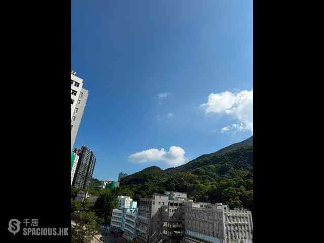 Shau Kei Wan - Lime Gala Block 1A 04